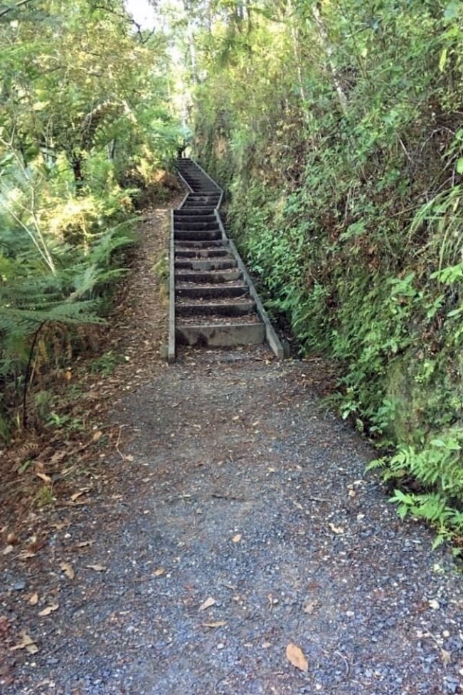 Paihia-School-Rd-track