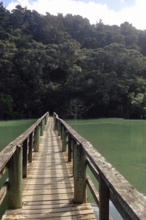 Waitangi-Haruru Falls walk