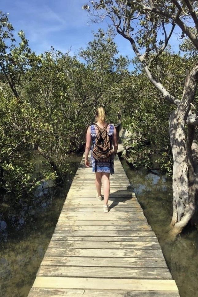 Waitangi-Haruru Falls walk