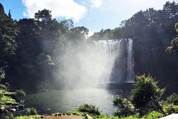 Kerikeri River walk