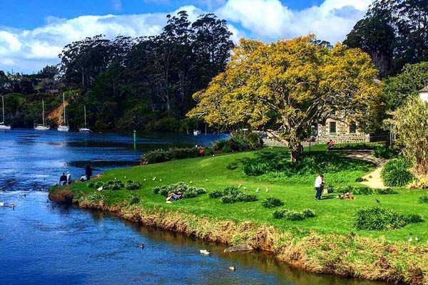 Kerikeri River walk