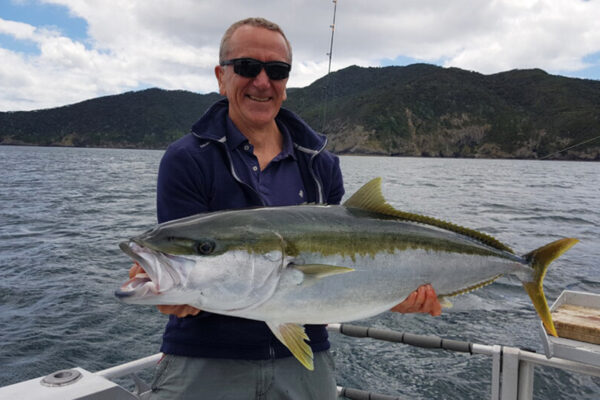 Bay of Islands fishing